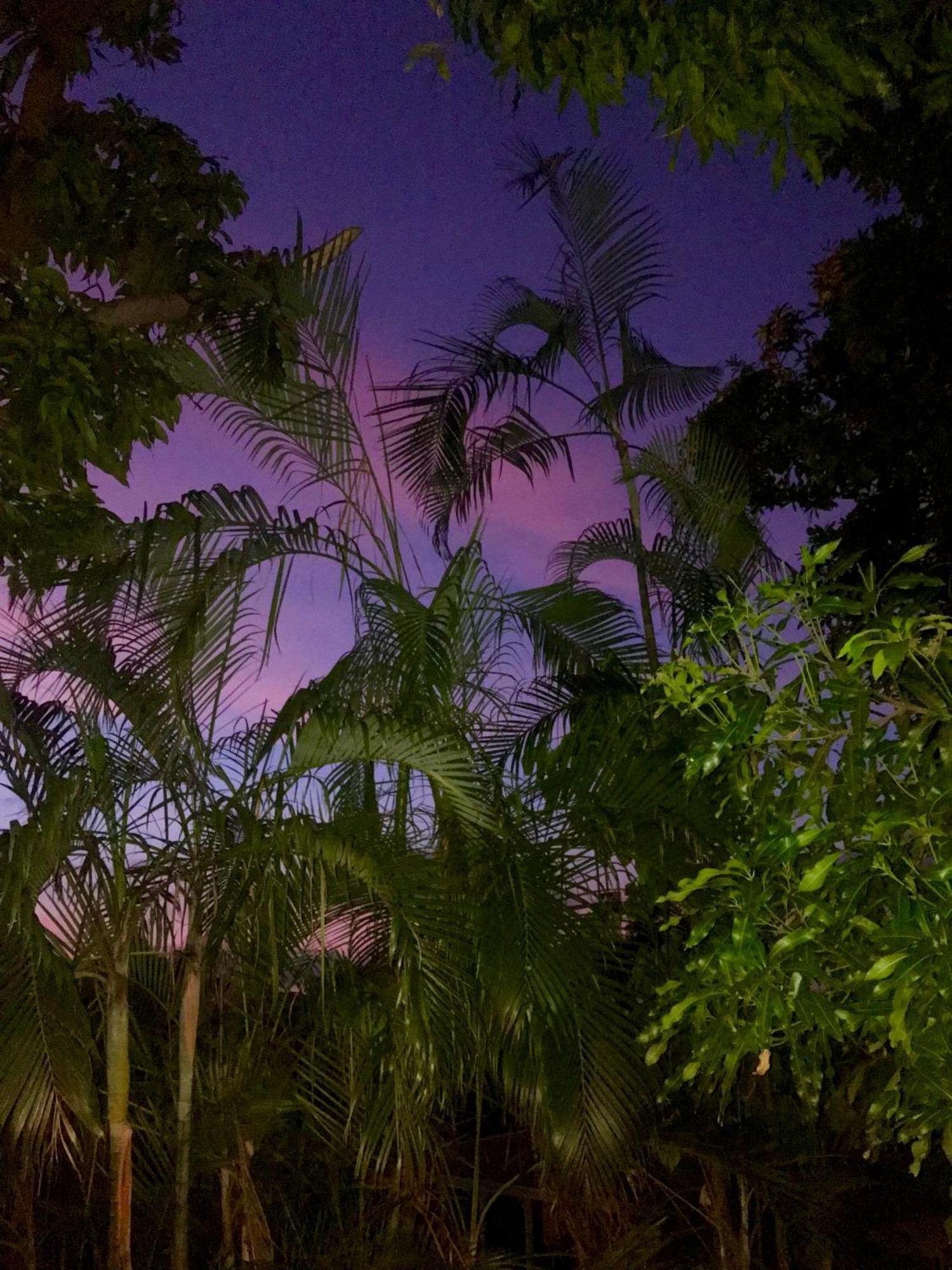 Villa Coco Caraibes Deshaies Εξωτερικό φωτογραφία